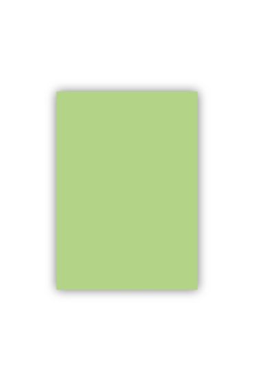 Bigpoint Fon Kartonu 50x70cm 160 Gram Uçuk Yeşil x 100 Adet