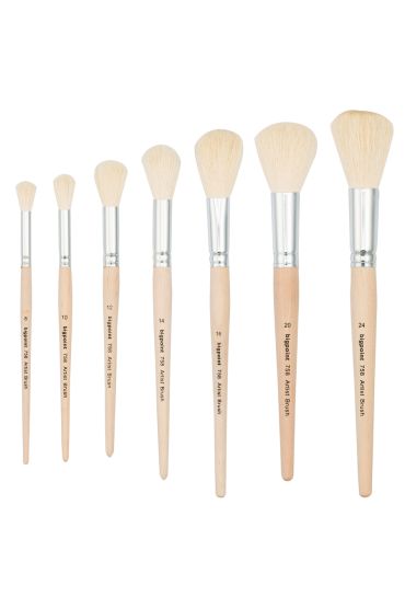 Bigpoint 758 Serisi Mop Ponpon Fırça No: 20 x 12 Adet