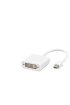 Dısplay Mını To Dvı F Çevirici Beyaz HDX7769
