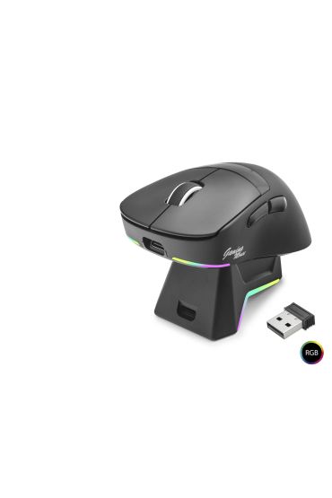 Kablosuz Gaming Rgb Mouse Şarj Standlı - Siyah MF1216B