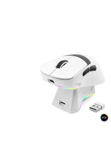 Kablosuz Gaming Rgb Mouse Şarj Standlı - Beyaz MF1216W