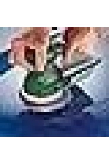  PEX 300 AE Eksantrik Zımpara 125 mm