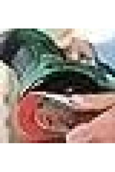  PEX 300 AE Eksantrik Zımpara 125 mm