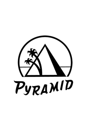 Gitar Aksesuar Pena 12 Adet Pyramid 1.20 MM Extra Heavy 557CP - Wires - Cosmedrome