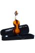 KEMAN TAM TAKIM MANUEL RAYMOND 4/4 (MRV44FLM) - Violin - Cosmedrome