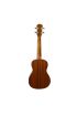 Delux Concert Ukulele Seti Koala Kılıf+Pena+Takım Tel Hediye KA5235MC - Mandolin Banjo Ukulele - Cosmedrome