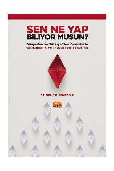 SEN NE YAP BİLİYOR MUSUN? -Dünyadan ve Türkiye’den Örneklerle