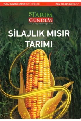 Silajlık Mısır Tarımı - Bitki - Cosmedrome