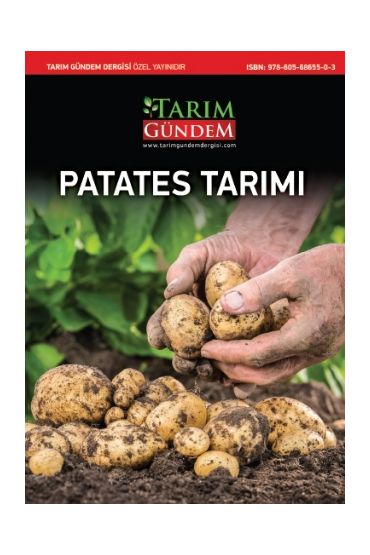 Patates Tarımı - Bitki - Cosmedrome