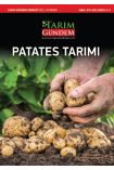 Patates Tarımı - Bitki - Cosmedrome