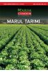 Marul Tarımı - Bitki - Cosmedrome