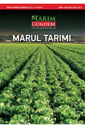 Marul Tarımı - Bitki - Cosmedrome