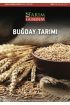 Buğday Tarımı - Bitki - Cosmedrome