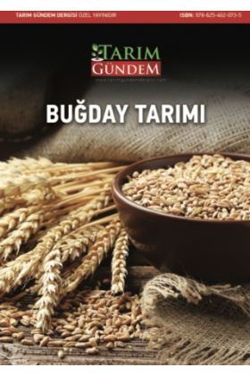Buğday Tarımı - Bitki - Cosmedrome