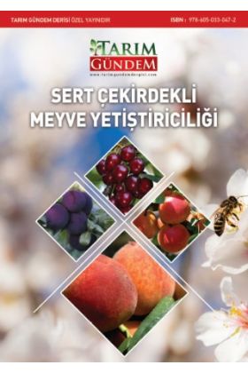 Sert Çekirdekli Meyve Yetiştiriciliği - Bitki - Cosmedrome