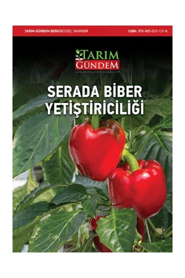 Serada Biber Yetiştiriciliği - Bitki - Cosmedrome