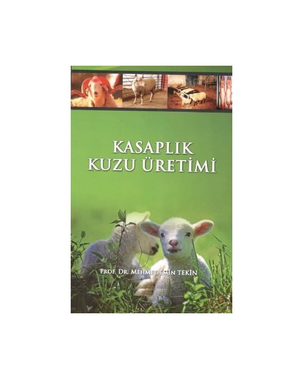 Kasaplık Kuzu Üretimi & Kuzu Besiciliği - Veterinerlik - Cosmedrome