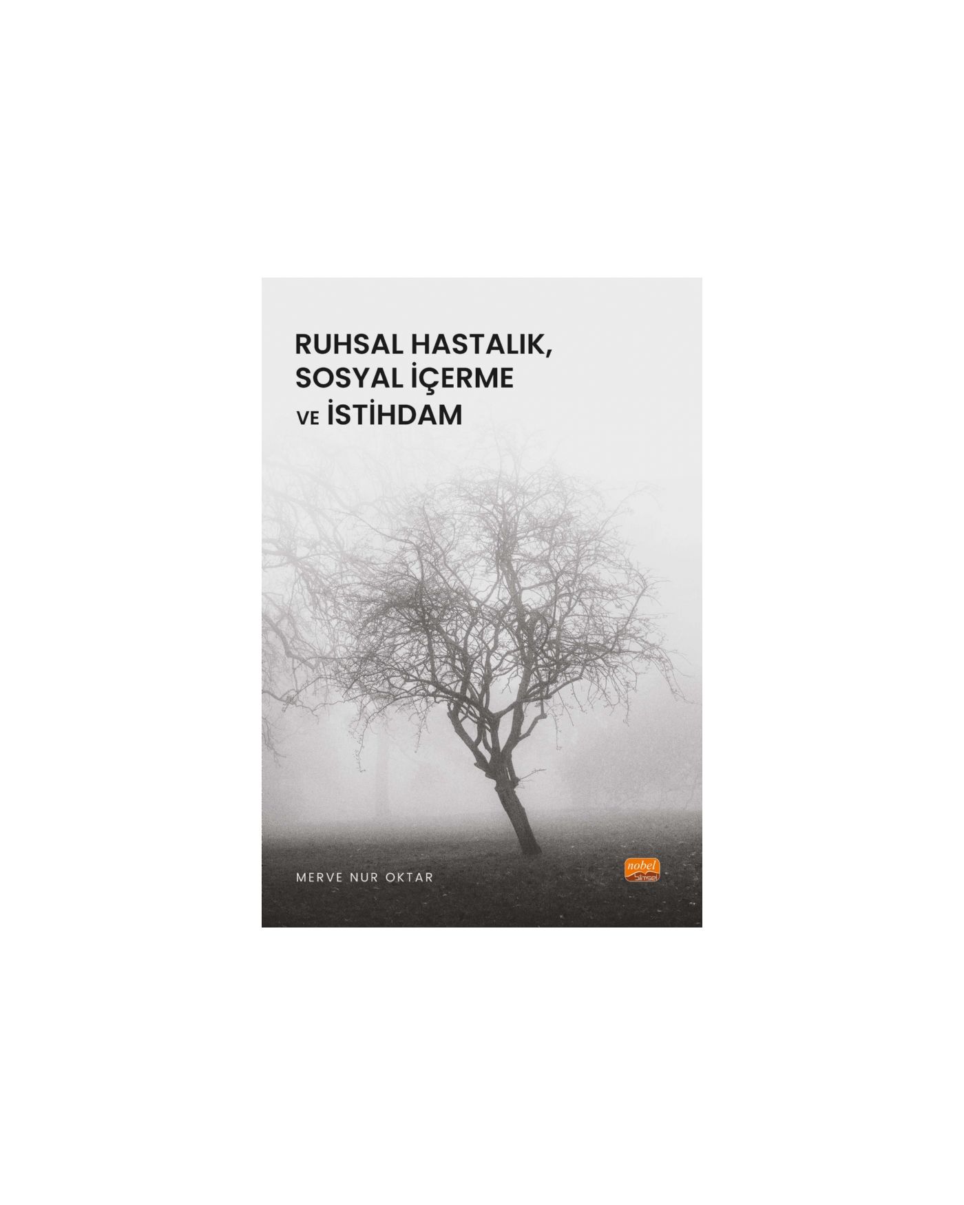 Ruhsal Hastalık, Sosyal İçerme ve İstihdam