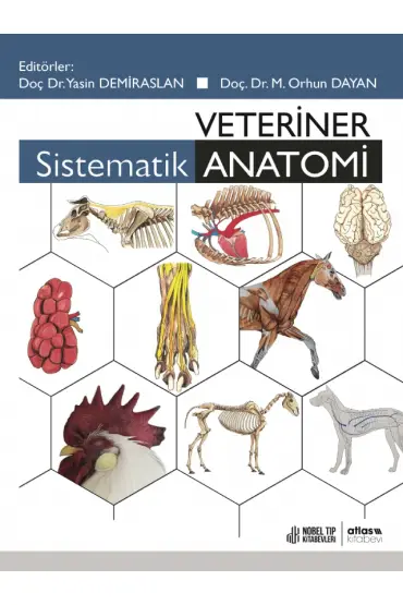 Veteriner Sistematik Anatomi