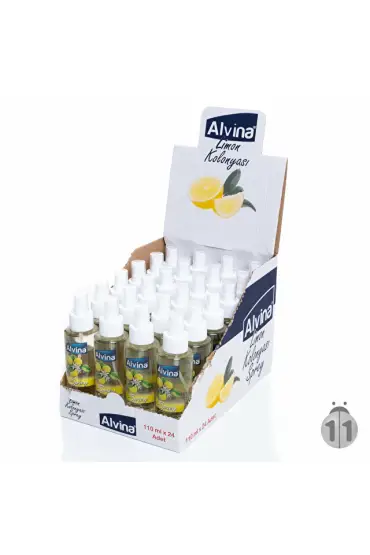 Alvina Kolonya Sprey 100ML x 24 Adet