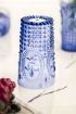 Akrilik Mavi 6'lı Uzun Bardak & Su Meşrubat Bardağı 750 ml ( Büyük Boy & Cam Değildir )