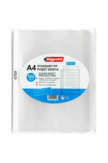 Bigpoint Poşet Dosya Standart 40 Mikron 100'lü Paket