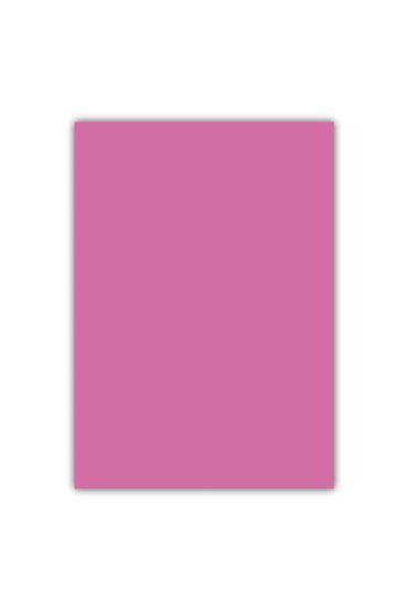 Bigpoint A4 Cilt Kapağı 150 Mikron Opak Pembe 100'lü Paket