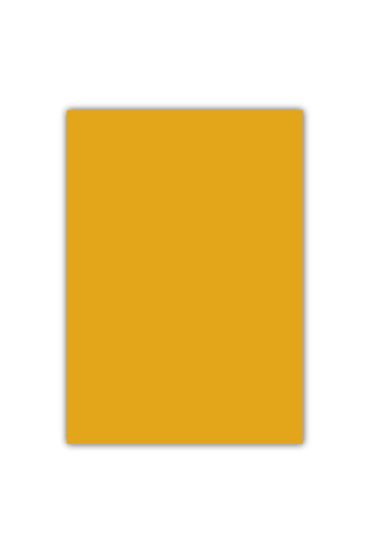 Bigpoint A4 Cilt Kapağı 150 Mikron Opak Turuncu 100'lü Paket