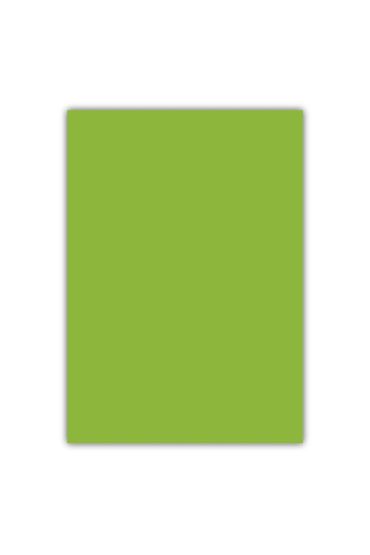 Bigpoint A4 Cilt Kapağı 150 Mikron Opak Açık Yeşil 100'lü Paket