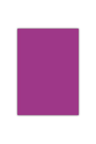 Bigpoint A4 Cilt Kapağı 150 Mikron Opak Mor 100'lü Paket