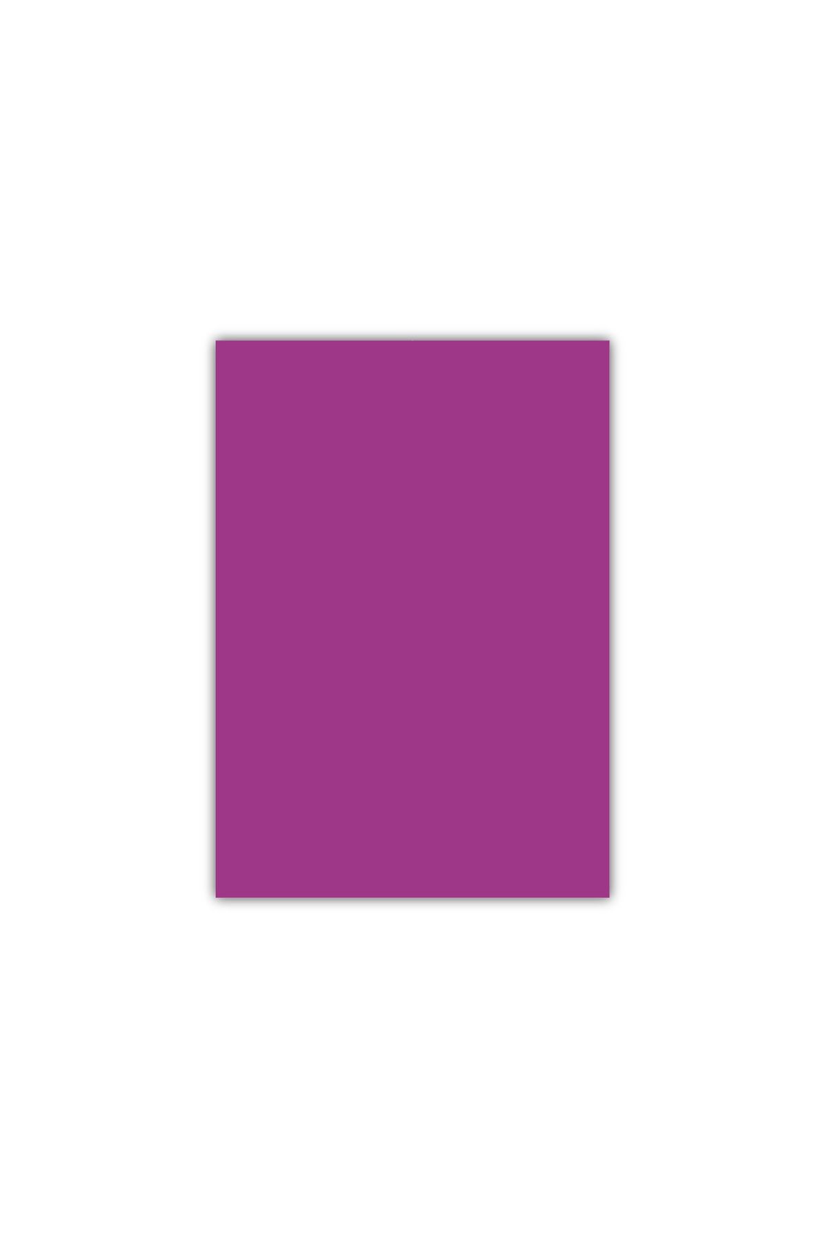 Bigpoint A4 Cilt Kapağı 150 Mikron Opak Mor 100'lü Paket