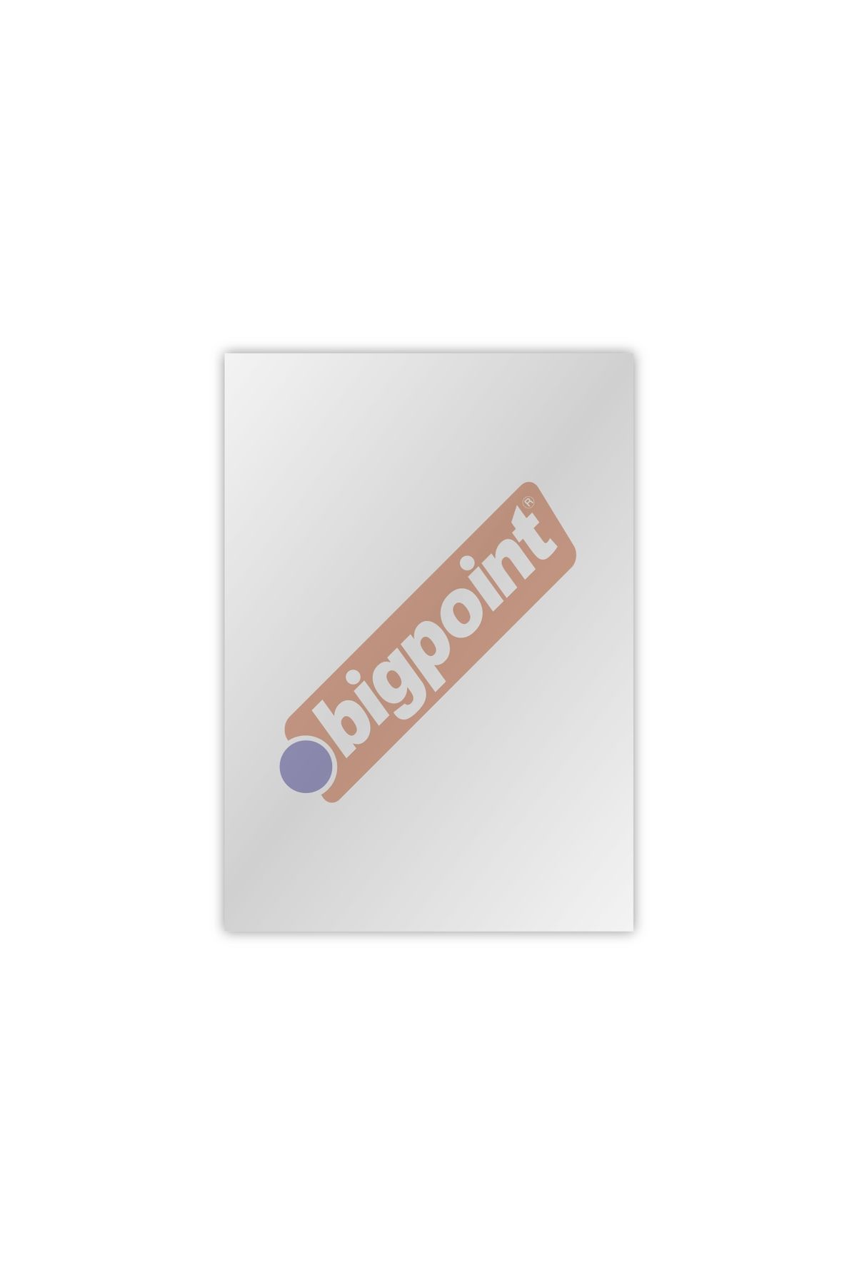 Bigpoint A3 Cilt Kapağı Şeffaf 100'lü Paket