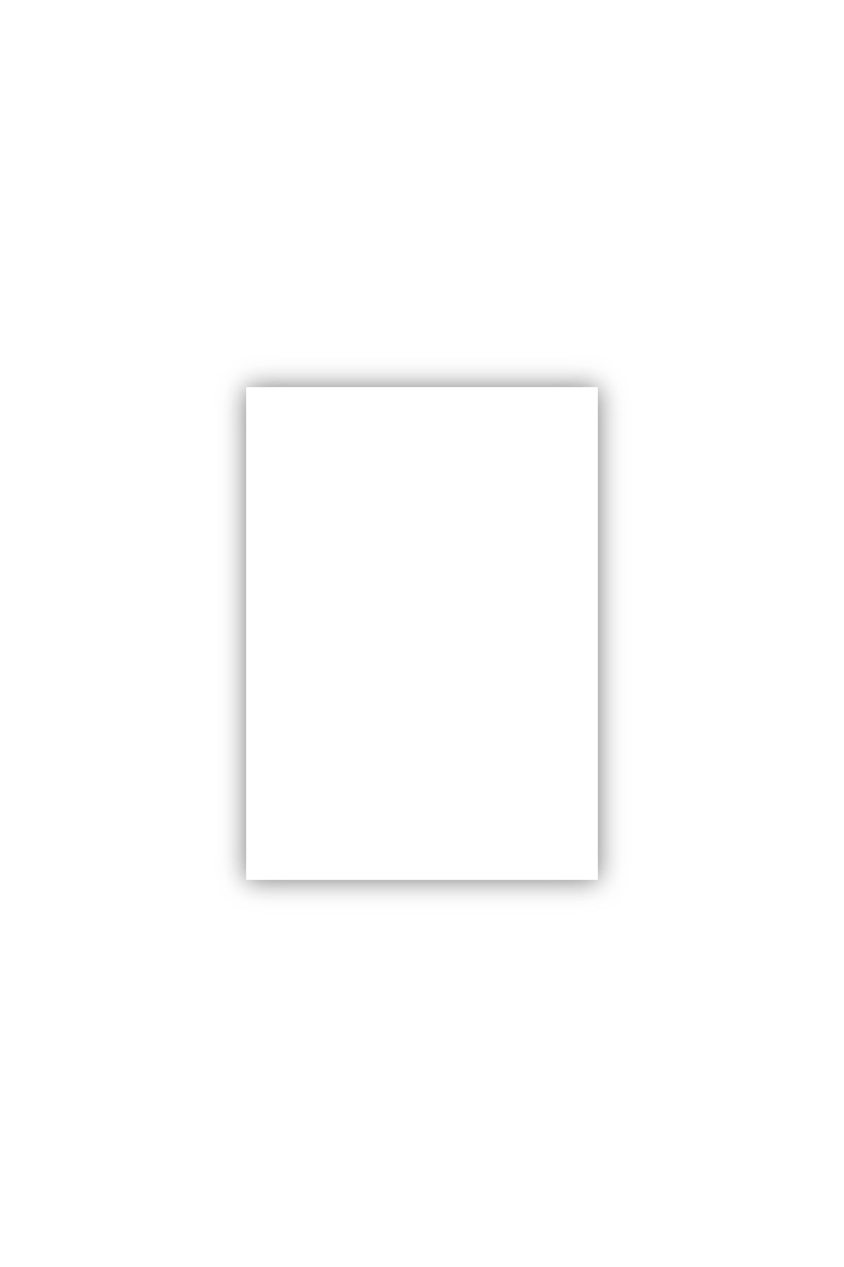 Bigpoint Fon Kartonu 50x70cm 160 Gram Beyaz 100'lü Paket