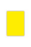 Bigpoint Fon Kartonu 50x70cm 160 Gram Limon Sarısı 100'lü Paket