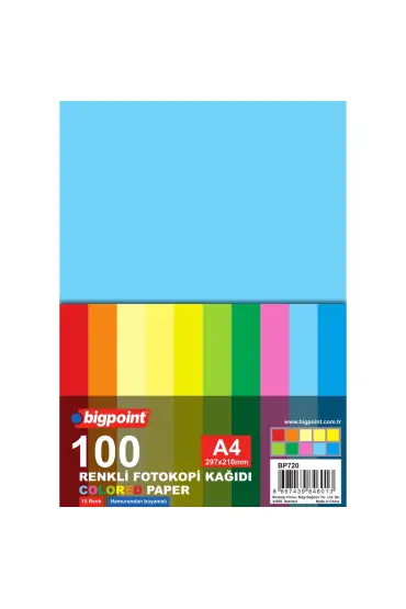 Bigpoint A4 Renkli Fotokopi Kağıdı 10 Renk 100'lü Paket