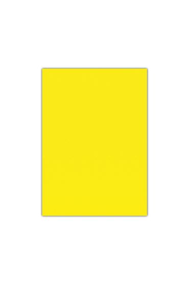 Bigpoint Eva 50x70cm Sarı 10'lu Paket