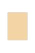 Bigpoint Eva 50x70cm Ten Rengi 10'lu Paket