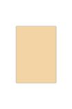 Bigpoint Eva 50x70cm Ten Rengi 10'lu Paket
