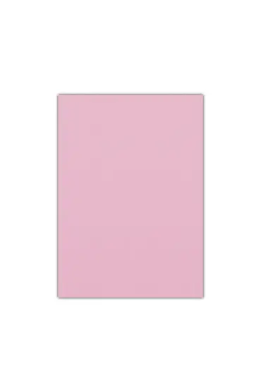 Bigpoint Eva 50x70cm Pembe 10'lu Paket