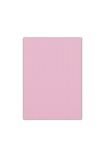 Bigpoint Eva 50x70cm Pembe 10'lu Paket
