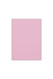 Bigpoint Eva 50x70cm Pembe 10'lu Paket