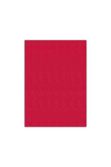 Bigpoint Eva 50x70cm Kırmızı 10'lu Paket