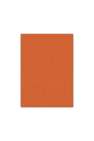 Bigpoint Eva 50x70cm Turuncu 10'lu Paket