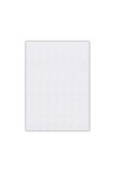 Bigpoint Keçe 50x70cm 2mm Beyaz 10'lu Paket