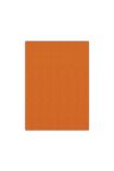 Bigpoint Keçe 50x70cm 2mm Turuncu 10'lu Paket