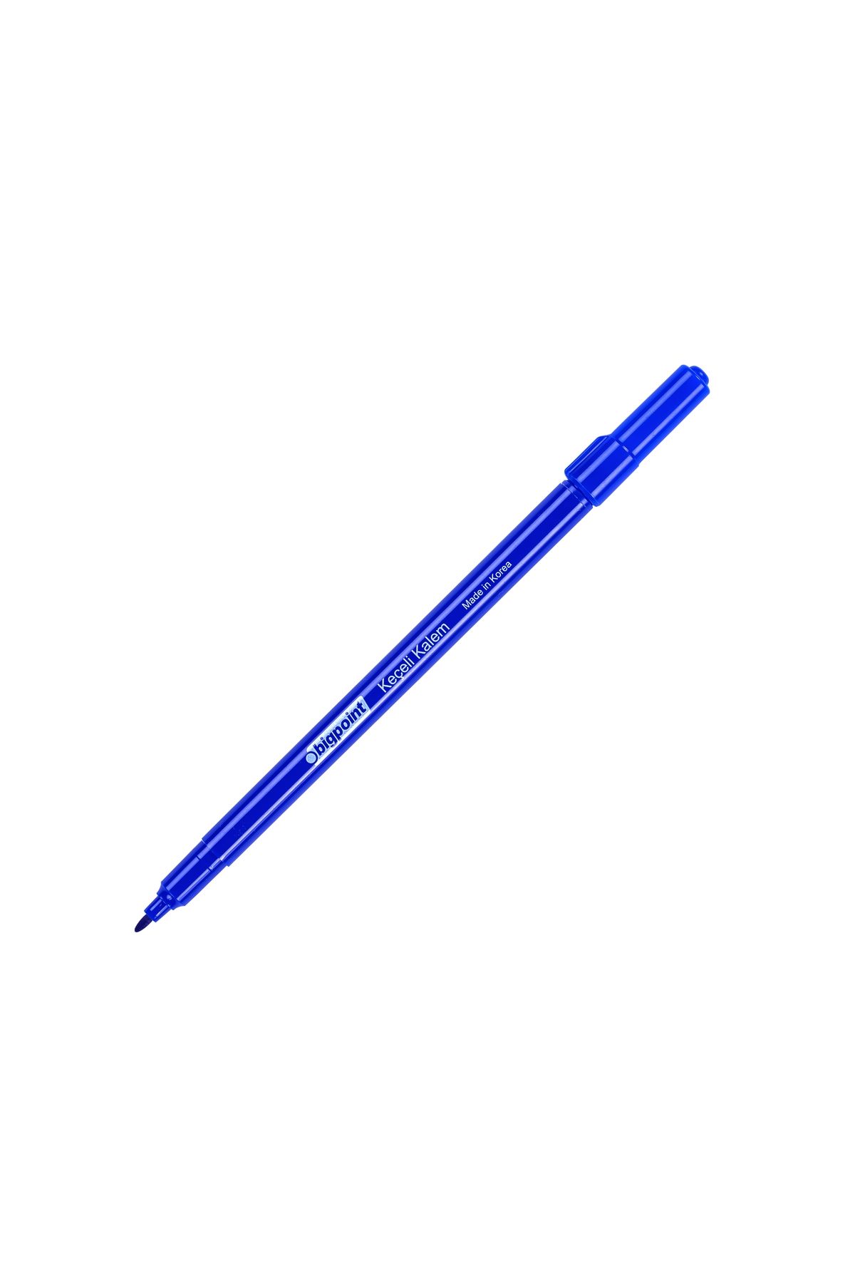 Bigpoint Keçeli Kalem Mavi 10'lu Kutu