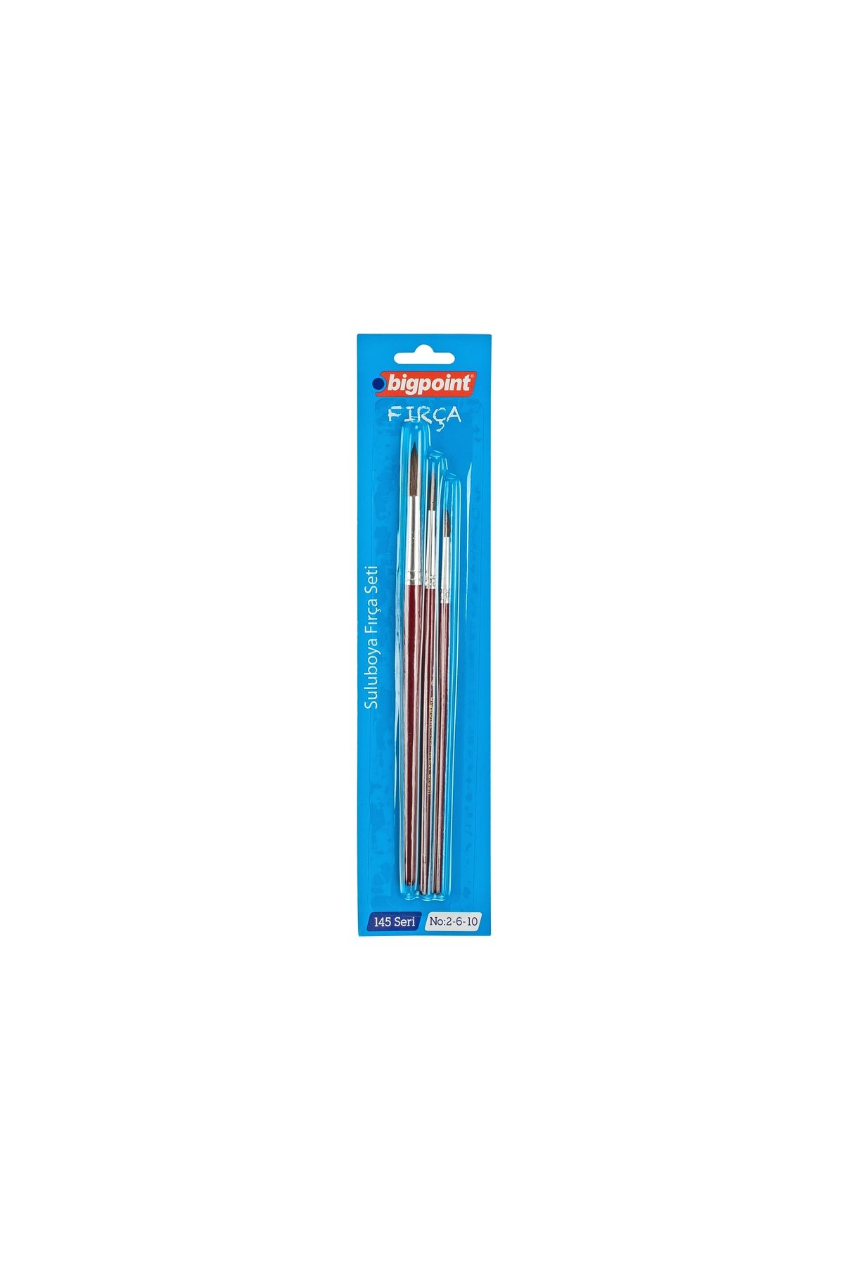 Bigpoint 145 Serisi Yuvarlak Fırça Seti 2-6-10 3'lü Blister 12'li Kutu
