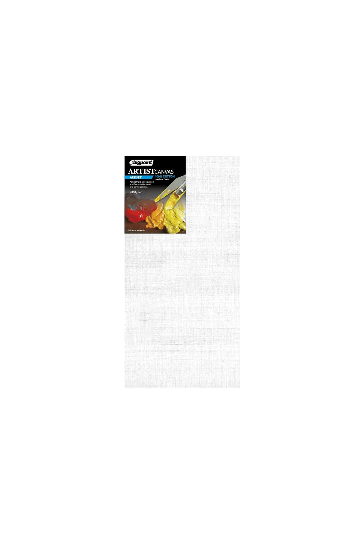 Bigpoint Artists' Tuval 50x100cm - 380gram