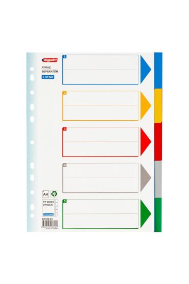 Bigpoint PP Seperatör 5 Renkli 50'li Kutu
