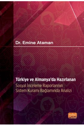Türkiye ve Almanya’da Hazırlanan Sosyal İnceleme Raporlarının Sistem Kuramı Bağlamında Analizi